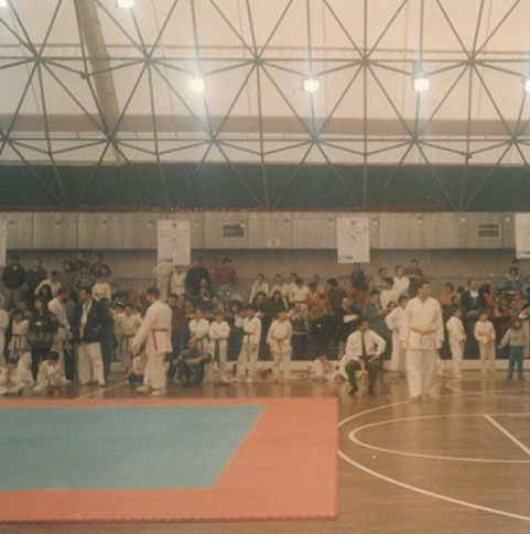 Palasport 1995