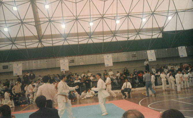 Palasport 1995
