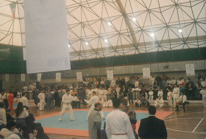 Palasport 1995