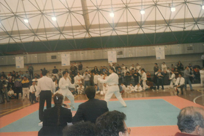 Palasport 1995